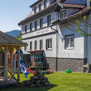 Bayerwald Bodenmais